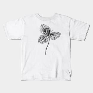 California Trillium Wild Plant Vintage Botanical Illustration Kids T-Shirt